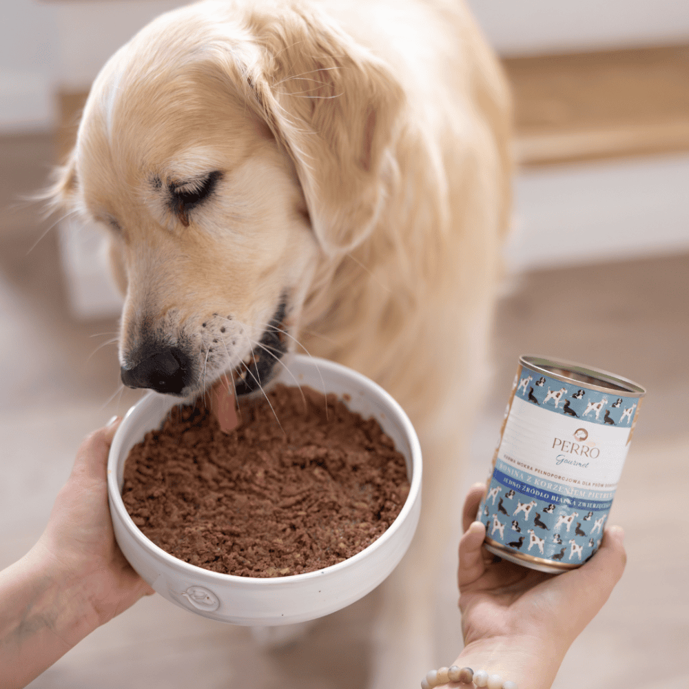 Perro Gourmet – Monobiałkowa karma mokra dla dorosłych psów, konina z korzeniem pietruszki