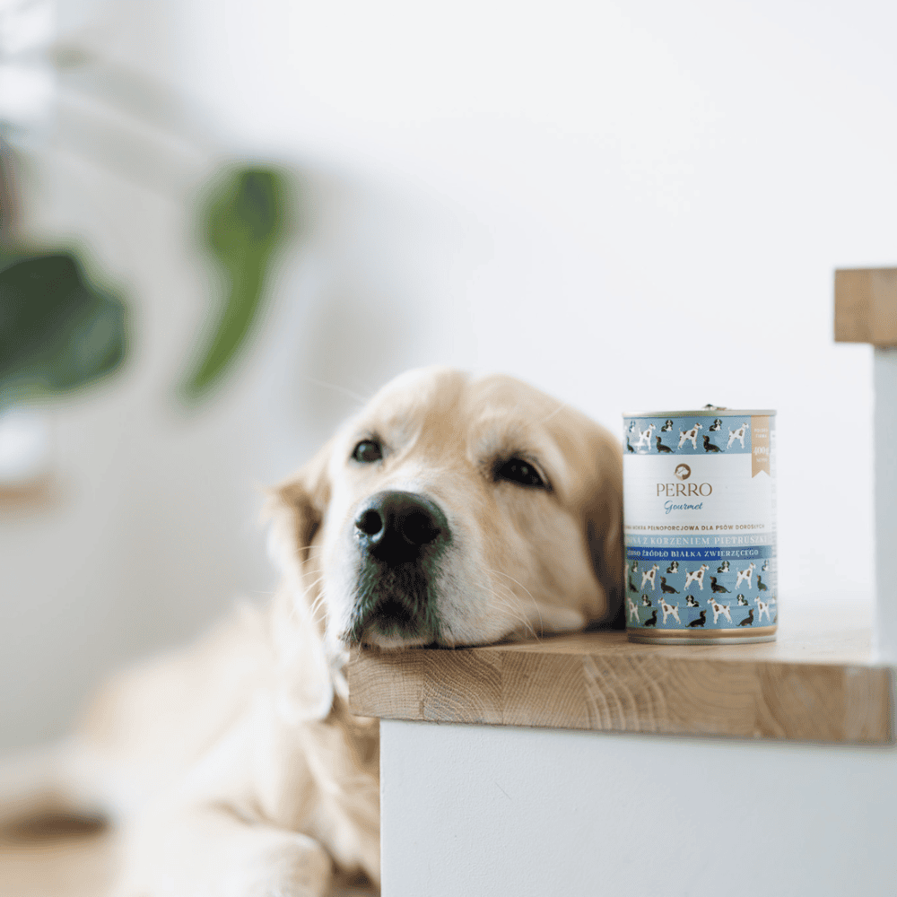 Perro Gourmet – Monobiałkowa karma mokra dla dorosłych psów, konina z korzeniem pietruszki