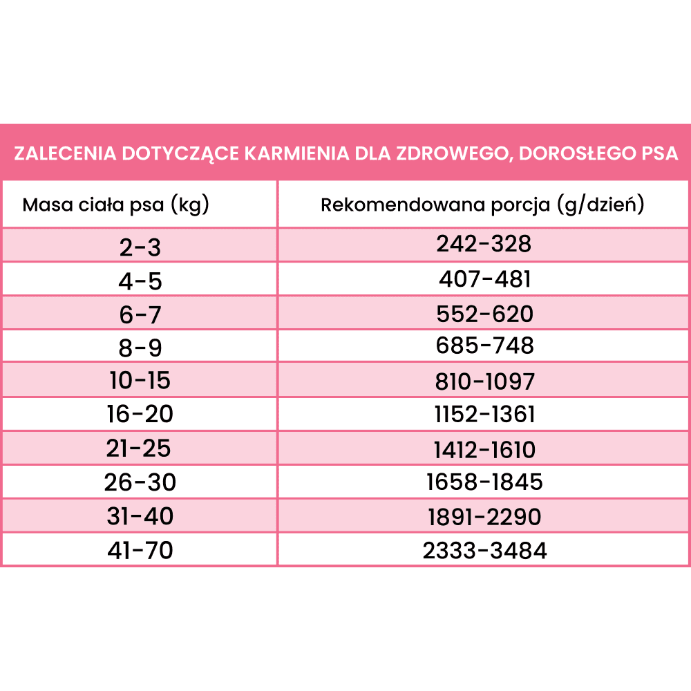 Perro Gourmet – Monobiałkowa karma mokra dla dorosłych psów, struś z cukinią