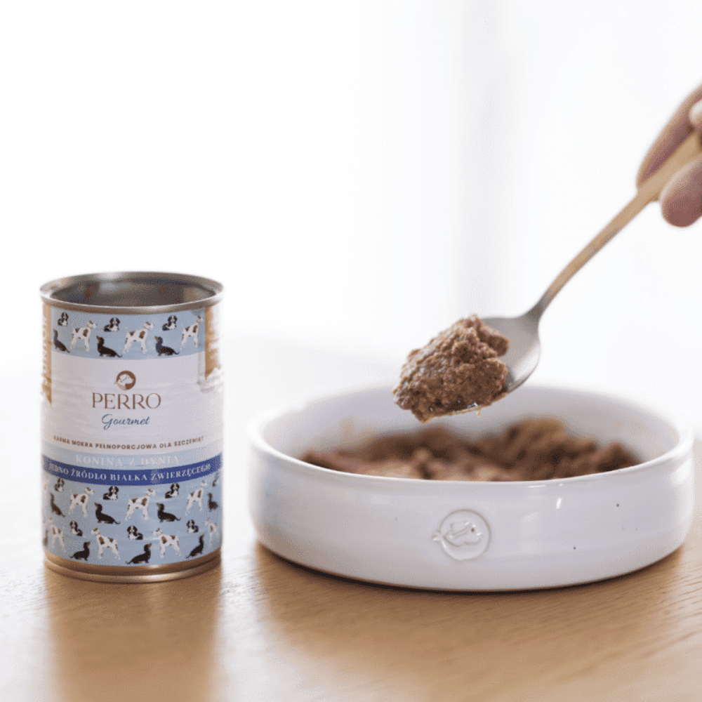 Perro Gourmet Junior – Monobiałkowa karma mokra dla szczeniąt, konina z dynią