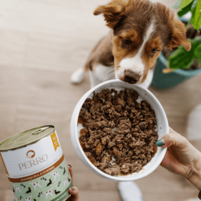 Perro Junior – Monobiałkowa karma mokra dla szczeniąt, jagnięcina z cukinią - obrazek 4