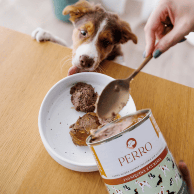 Perro Junior – Monobiałkowa karma mokra dla szczeniąt, jagnięcina z cukinią - obrazek 3