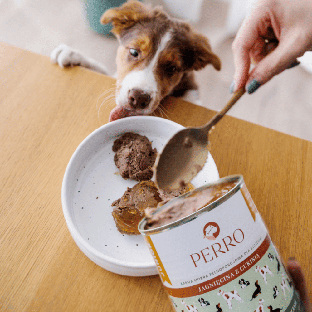 Perro Junior – Monobiałkowa karma mokra dla szczeniąt, jagnięcina z cukinią