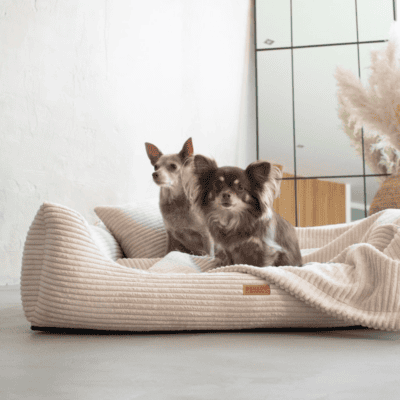 DENZOO Rimini Beige – Legowisko z materacem ortopedycznym, kanapa dla psa i kota, beżowe - obrazek 7