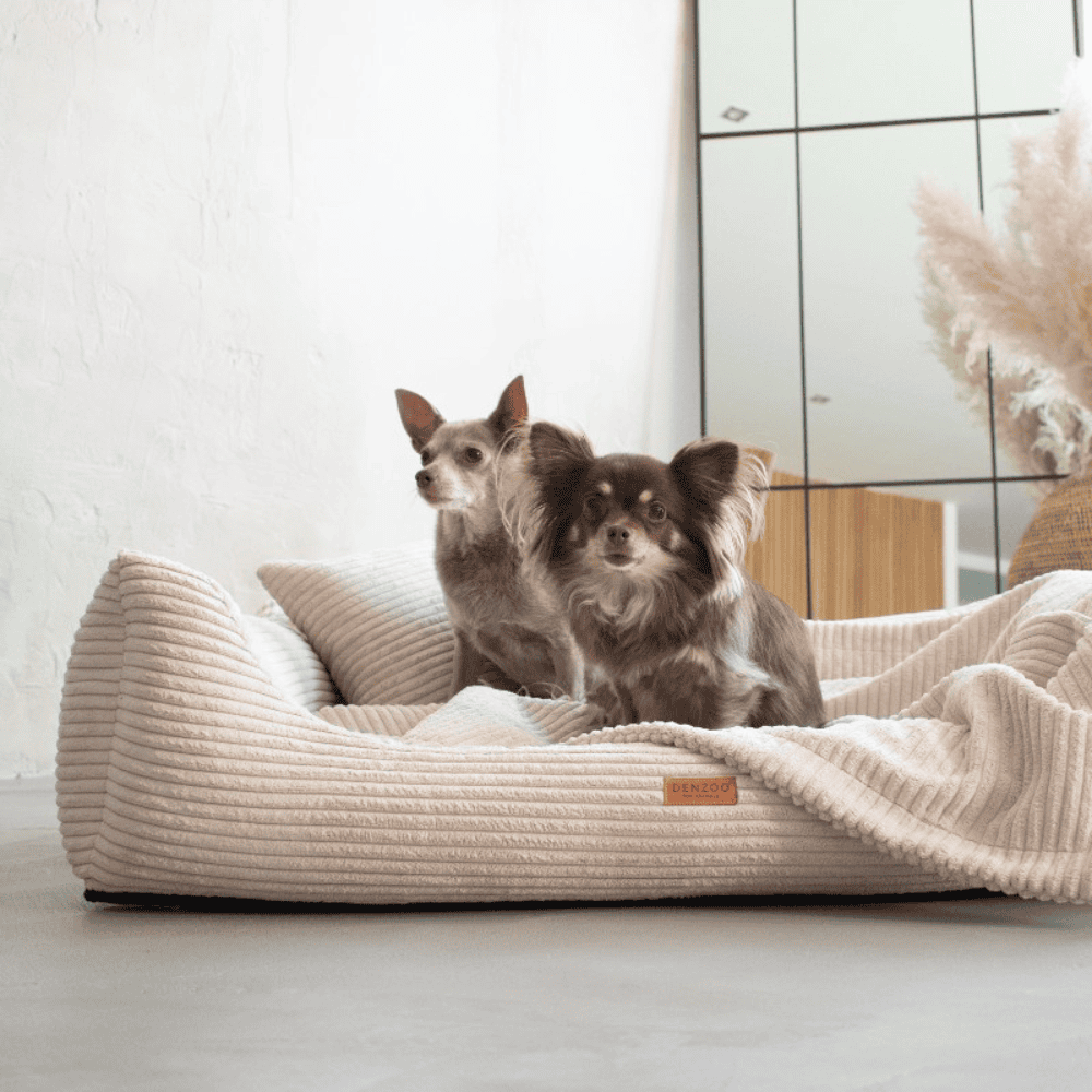 DENZOO Rimini Beige – Legowisko z materacem ortopedycznym, kanapa dla psa i kota, beżowe