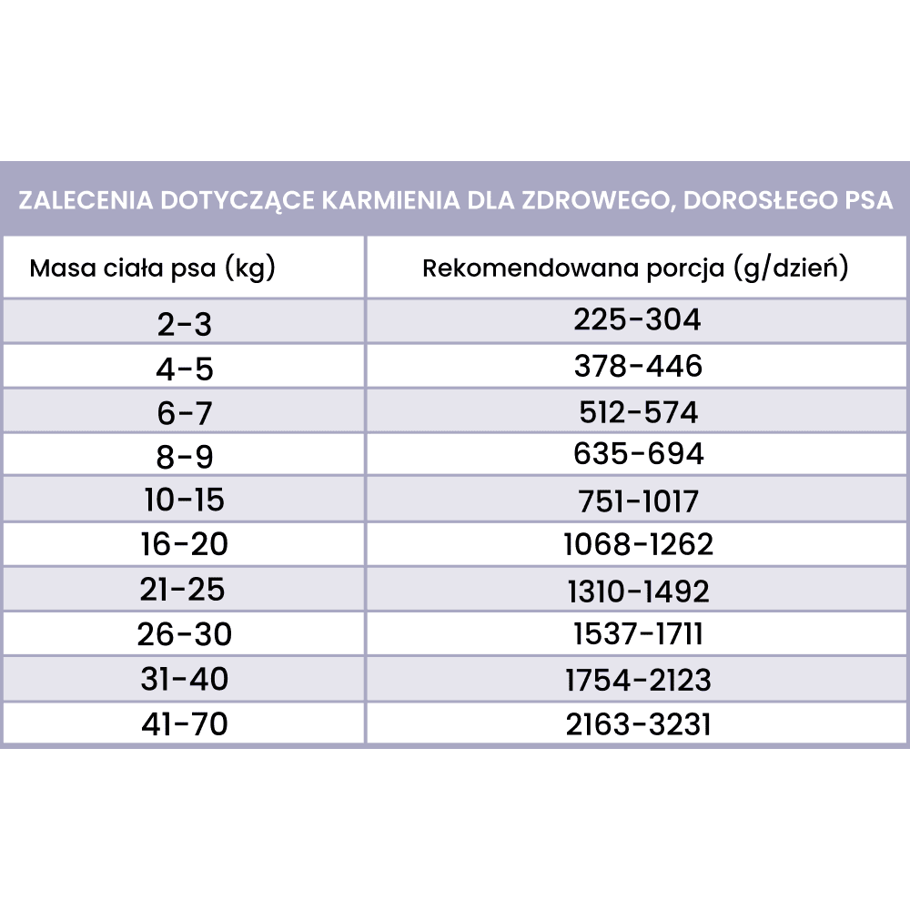 Perro Fish – Monobiałkowa karma mokra dla dorosłych psów, morszczuk z batatem