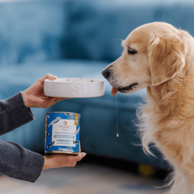 Perro Fish – Monobiałkowa karma mokra dla dorosłych psów, sardynka z cukinią - obrazek 2
