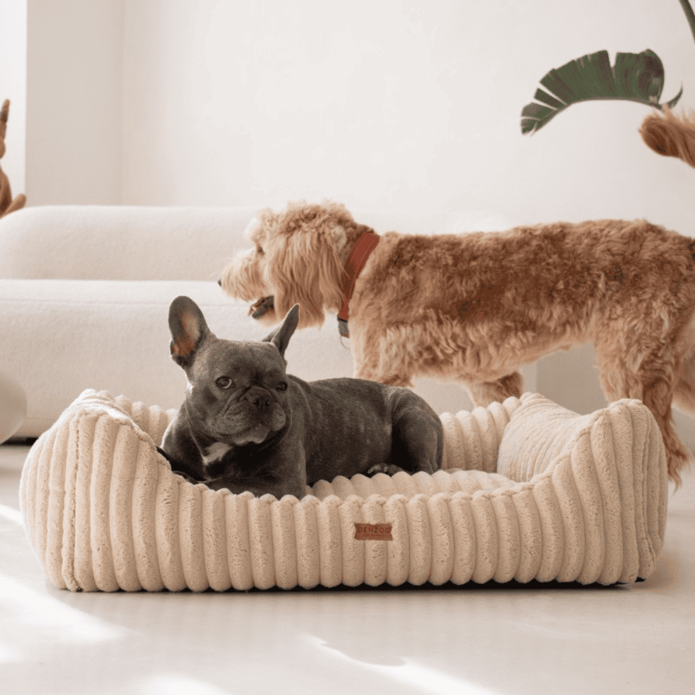 DENZOO Palermo Beige – Ortopedyczne legowisko, kanapa dla psa i kota, beżowe