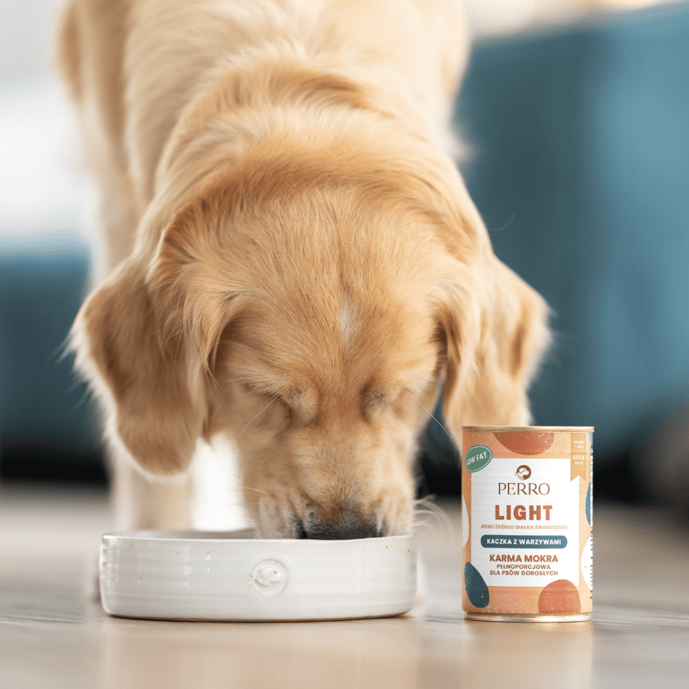 Perro Light – Monobiałkowa karma mokra dla dorosłych psów, kaczka z warzywami