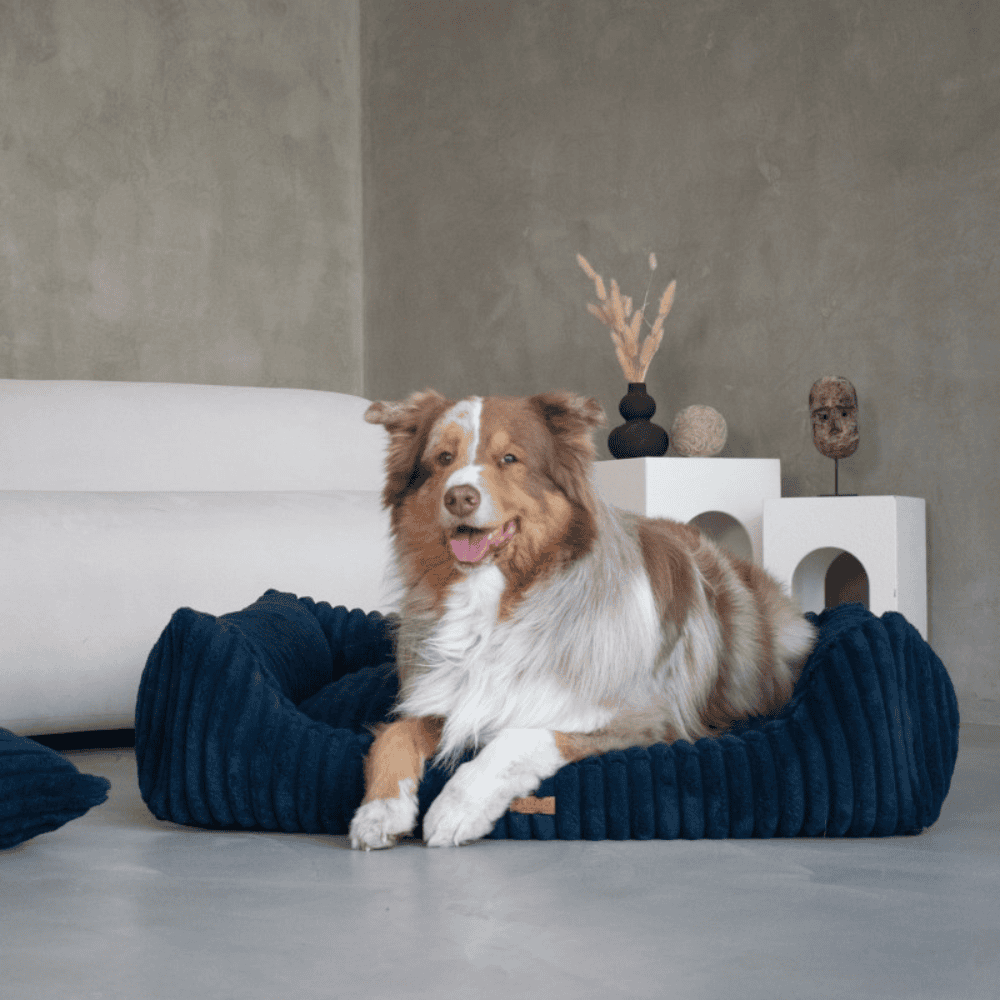 DENZOO Palermo Navy Blue – Ortopedyczne legowisko, kanapa dla psa i kota, granatowe