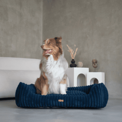 DENZOO Palermo Navy Blue – Ortopedyczne legowisko, kanapa dla psa i kota, granatowe - obrazek 4