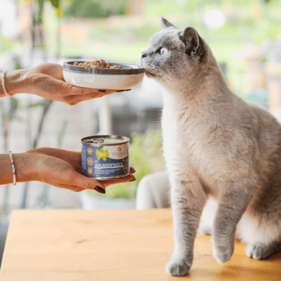 Perro CATering – Monobiałkowa karma mokra dla kota, sardynka - obrazek 3