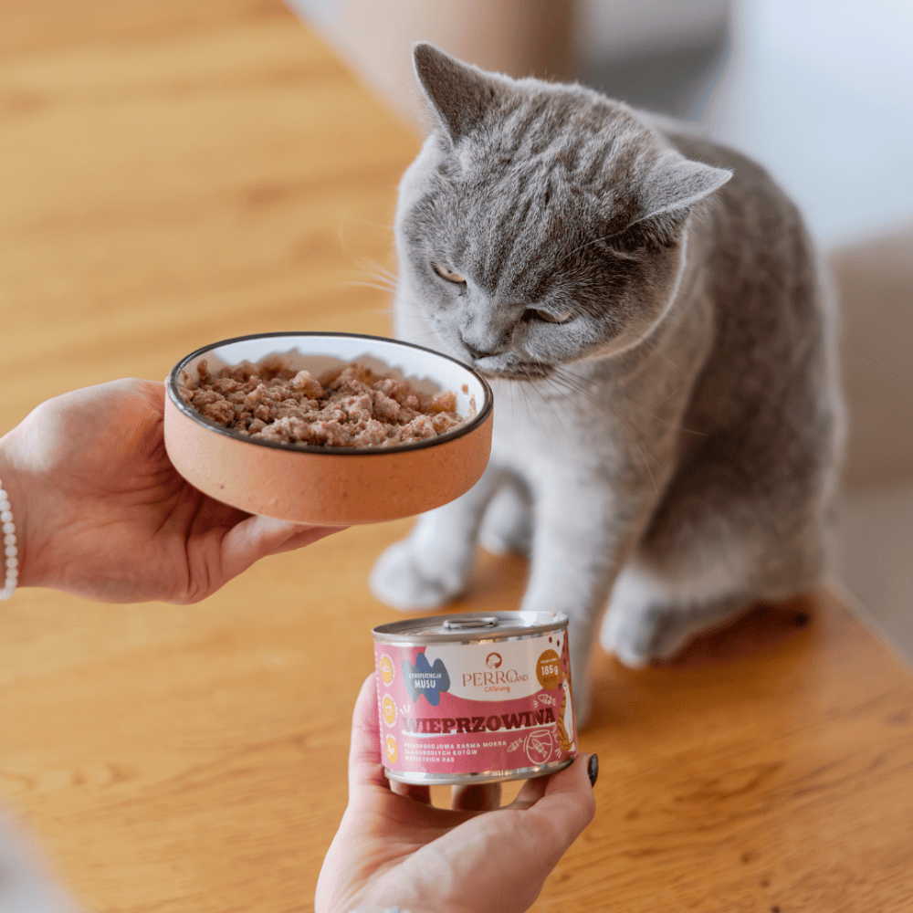Perro CATering – Monobiałkowa karma mokra dla kota, wieprzowina