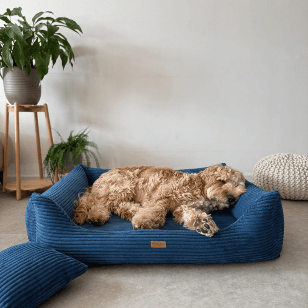 DENZOO Rimini Navy Blue – Legowisko z materacem ortopedycznym, kanapa dla psa i kota, granatowe