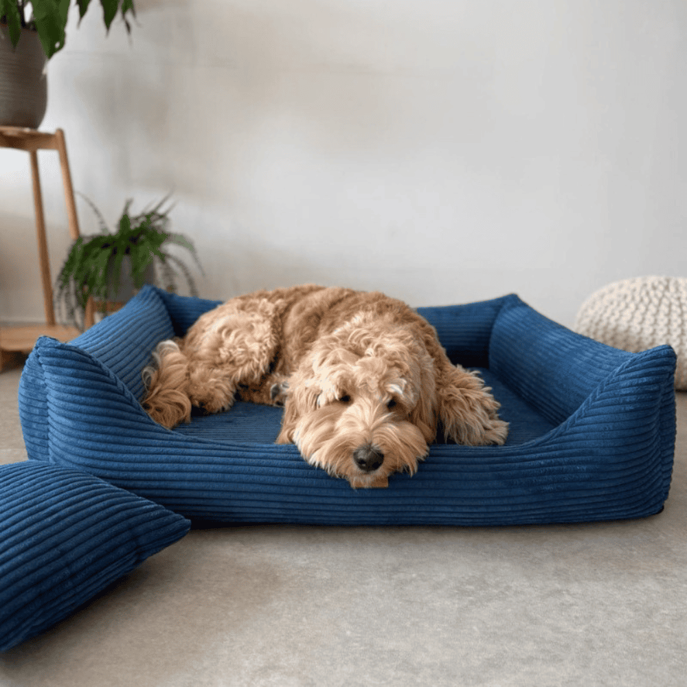 DENZOO Rimini Navy Blue – Legowisko z materacem ortopedycznym, kanapa dla psa i kota, granatowe