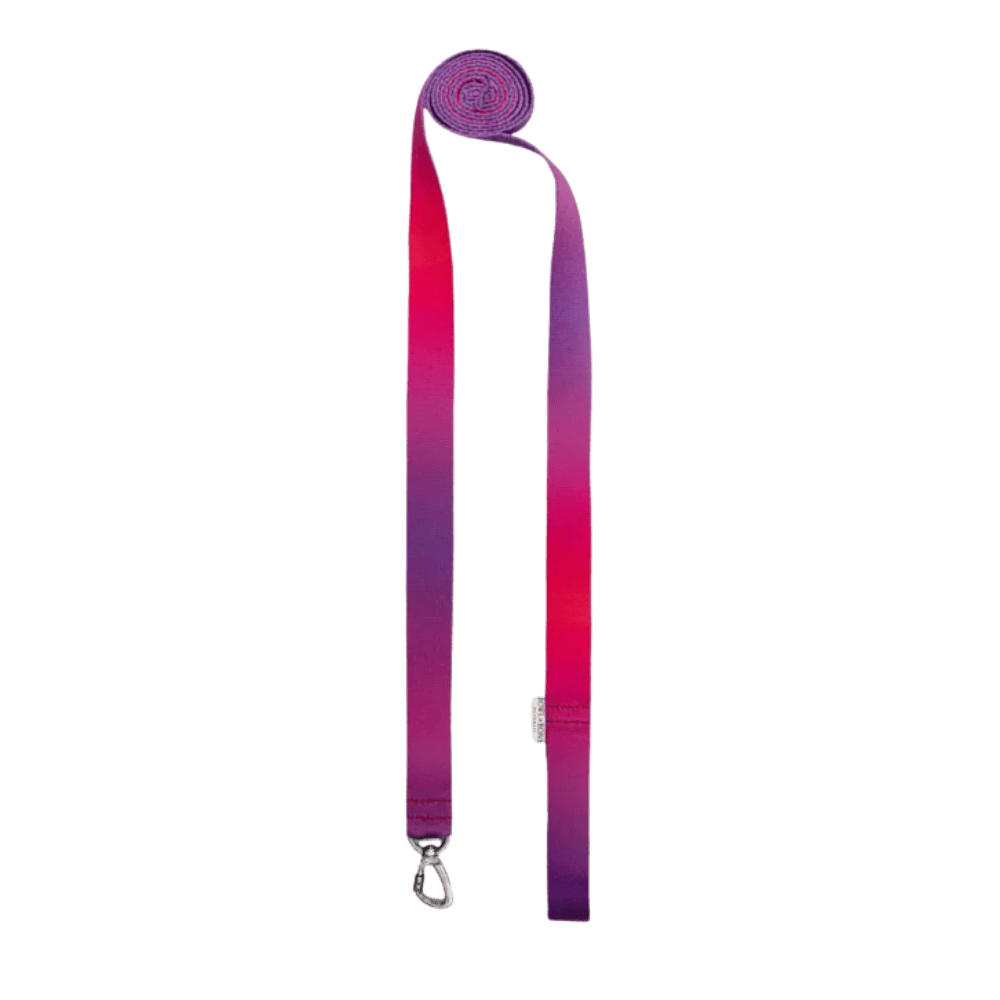 Bowl&Bone Republic Gradient - Smycz dla psa, tango