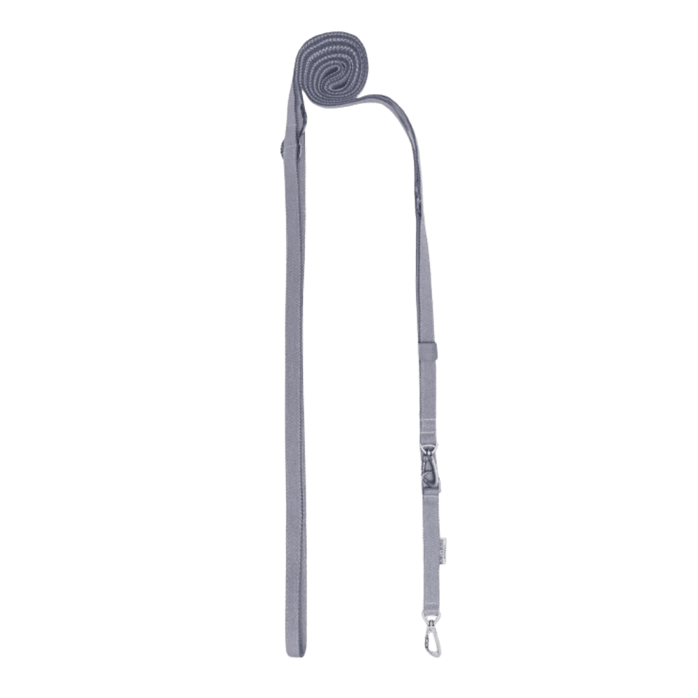 Bowl&Bone Republic Brezze - Przepinana smycz dla psa, niebieska 3m