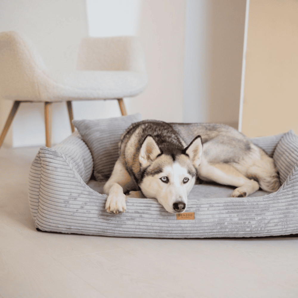 DENZOO Rimini Grey – Legowisko z materacem ortopedycznym, kanapa dla psa i kota, szare
