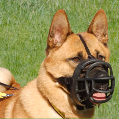 Baskerville Ultra Muzzle - Kaganiec fizjologiczny dla psa - obrazek 6