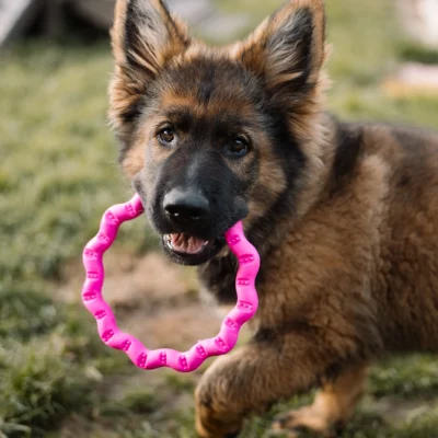 FIBOO Fringoo - Ring do przeciągania dla psa 18cm - obrazek 3