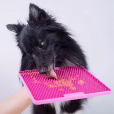 LickiMat Tuff Soother Pro - Treningowa mata do lizania dla psa i kota, twarda - obrazek 2