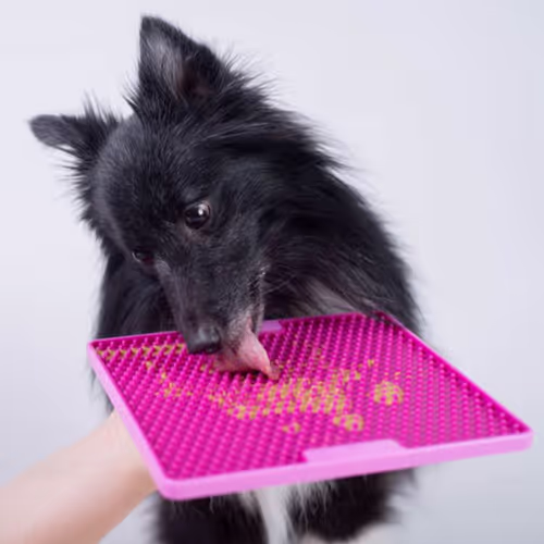 LickiMat Tuff Soother Pro - Treningowa mata do lizania dla psa i kota, twarda