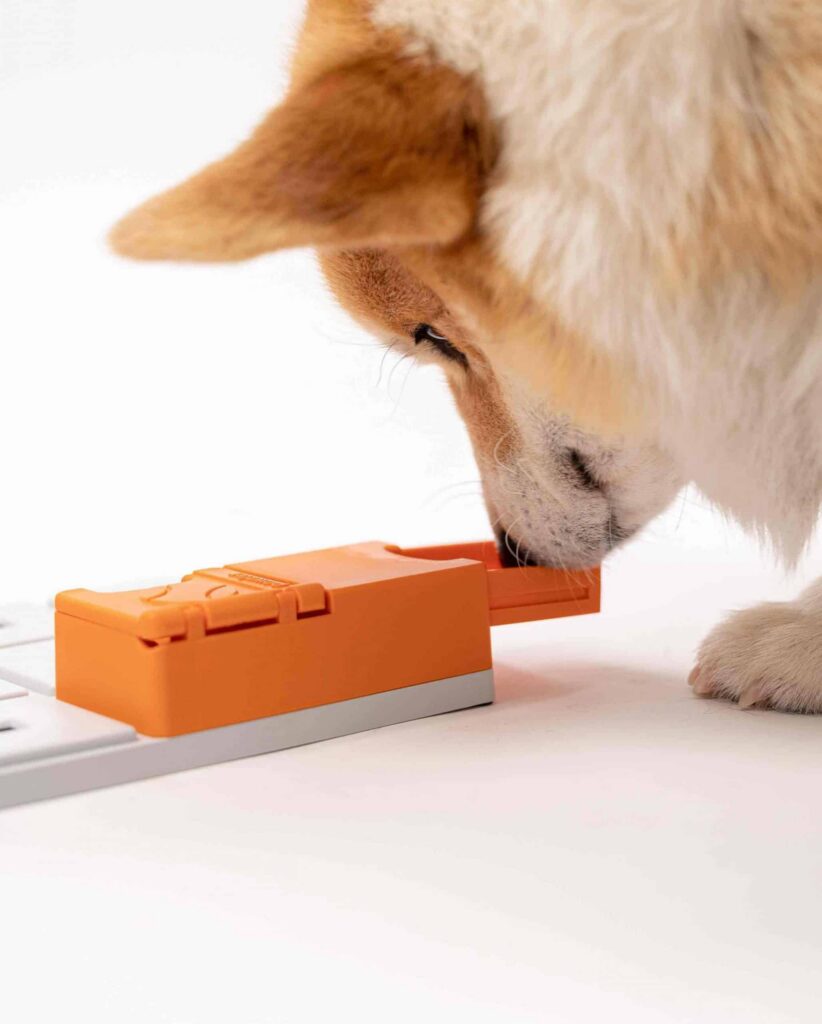 Pawzler Maya - moduł do zabawki logicznej dla psa, poziom 3