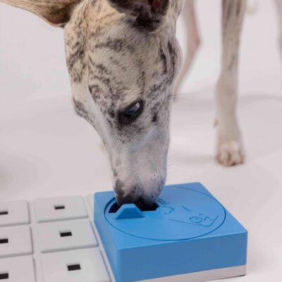 Pawzler Oli - moduł do zabawki logicznej dla psa, poziom 1 - obrazek 2