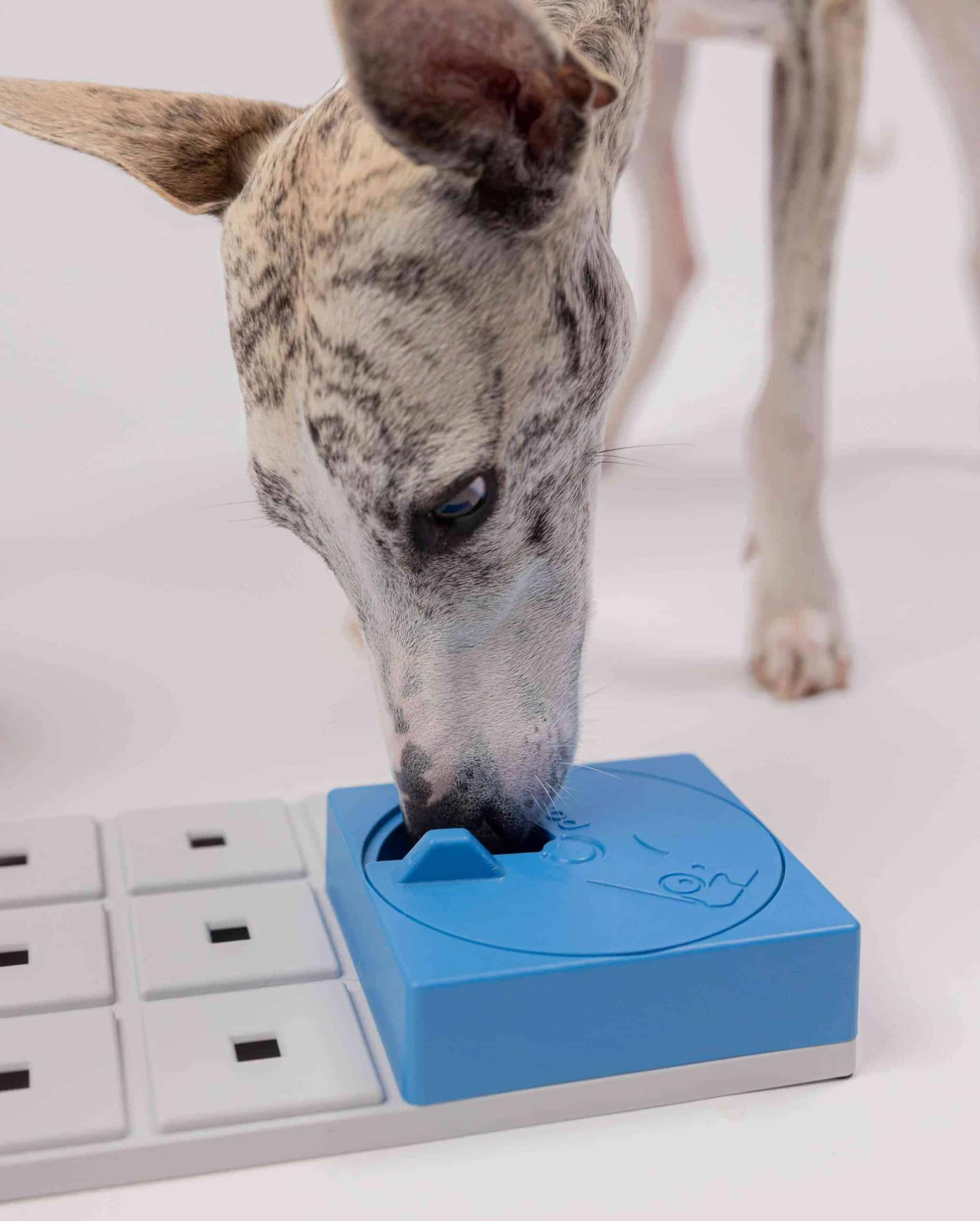 Pawzler Oli - moduł do zabawki logicznej dla psa, poziom 1 - obrazek 2