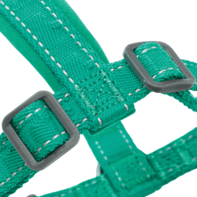 Hurtta Casual Eco Y-Harness Peacock - Szelki guard dla psa, turkusowe - obrazek 4