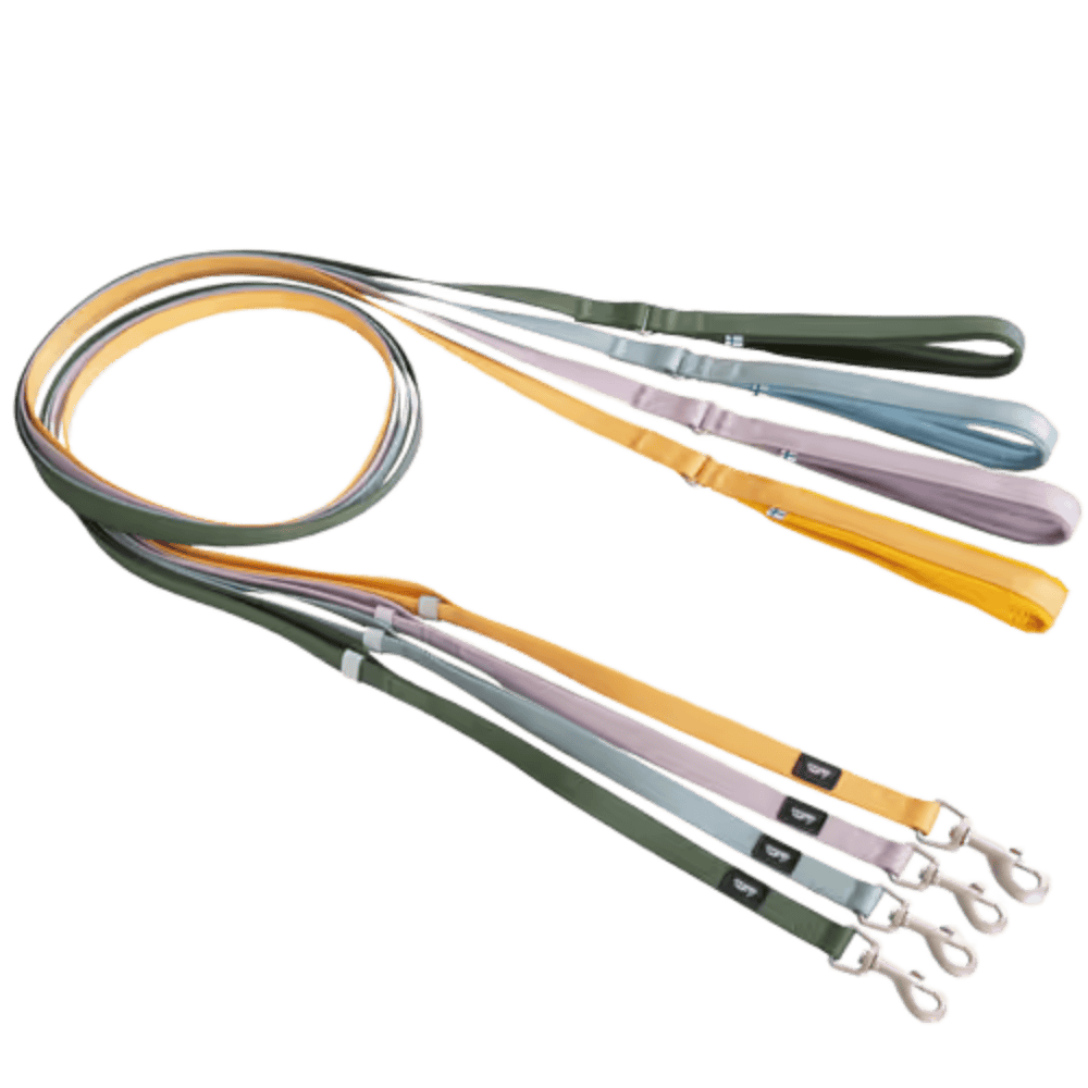 Hurtta Seeker Standard Leash Forest - Smycz dla małych i średnich psów, zielona 180cm