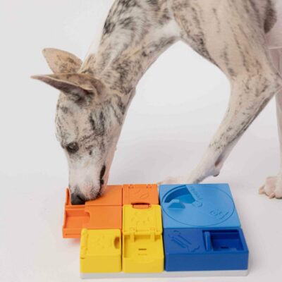 Pawzler Rainbow Set - modułowa zabawka logiczna dla psa - obrazek 6