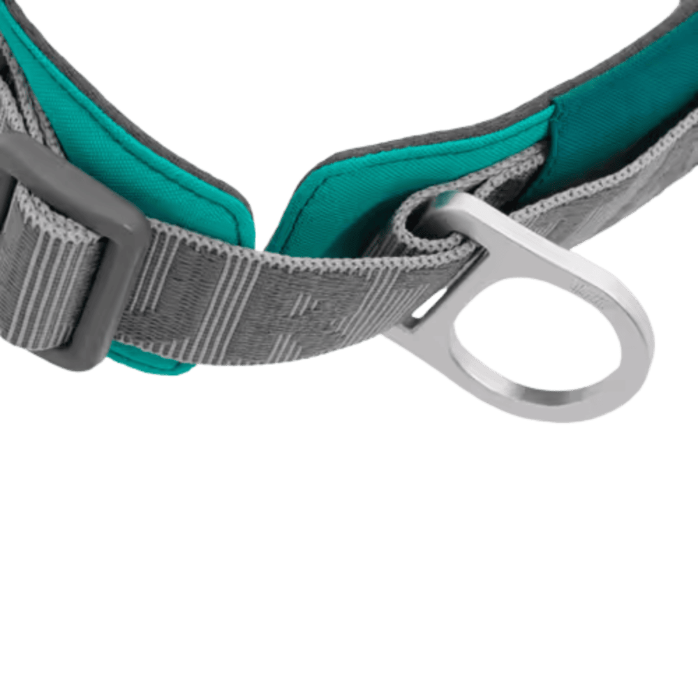Hurtta Rover Collar Peacock - Obroża dla średnich i dużych psów, turkusowa