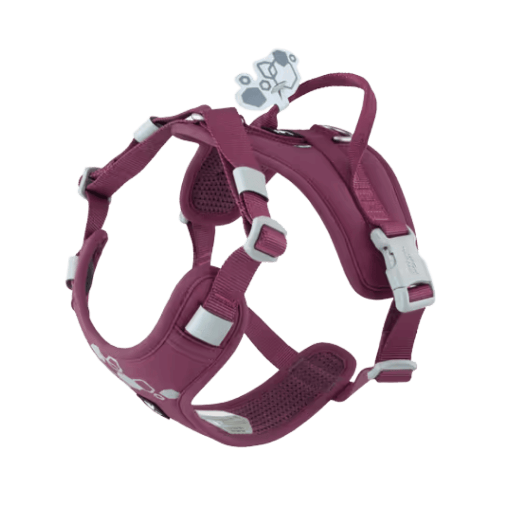 Hurtta Weekend Warrior Harness II ECO Eggplant - Szelki dla psów aktywnych, bordowe