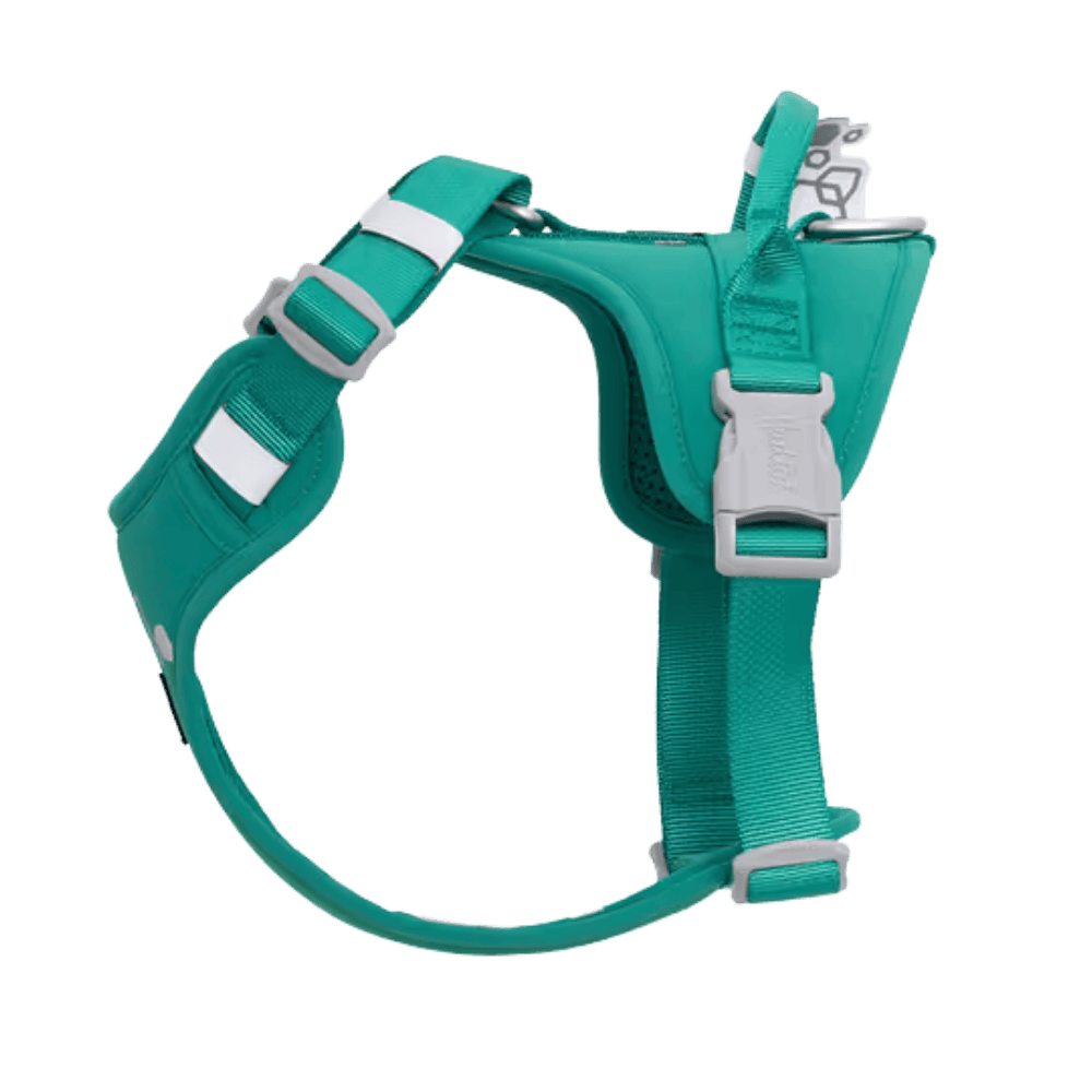 Hurtta Weekend Warrior Harness II ECO Peacock - Szelki dla psów aktywnych, turkusowe