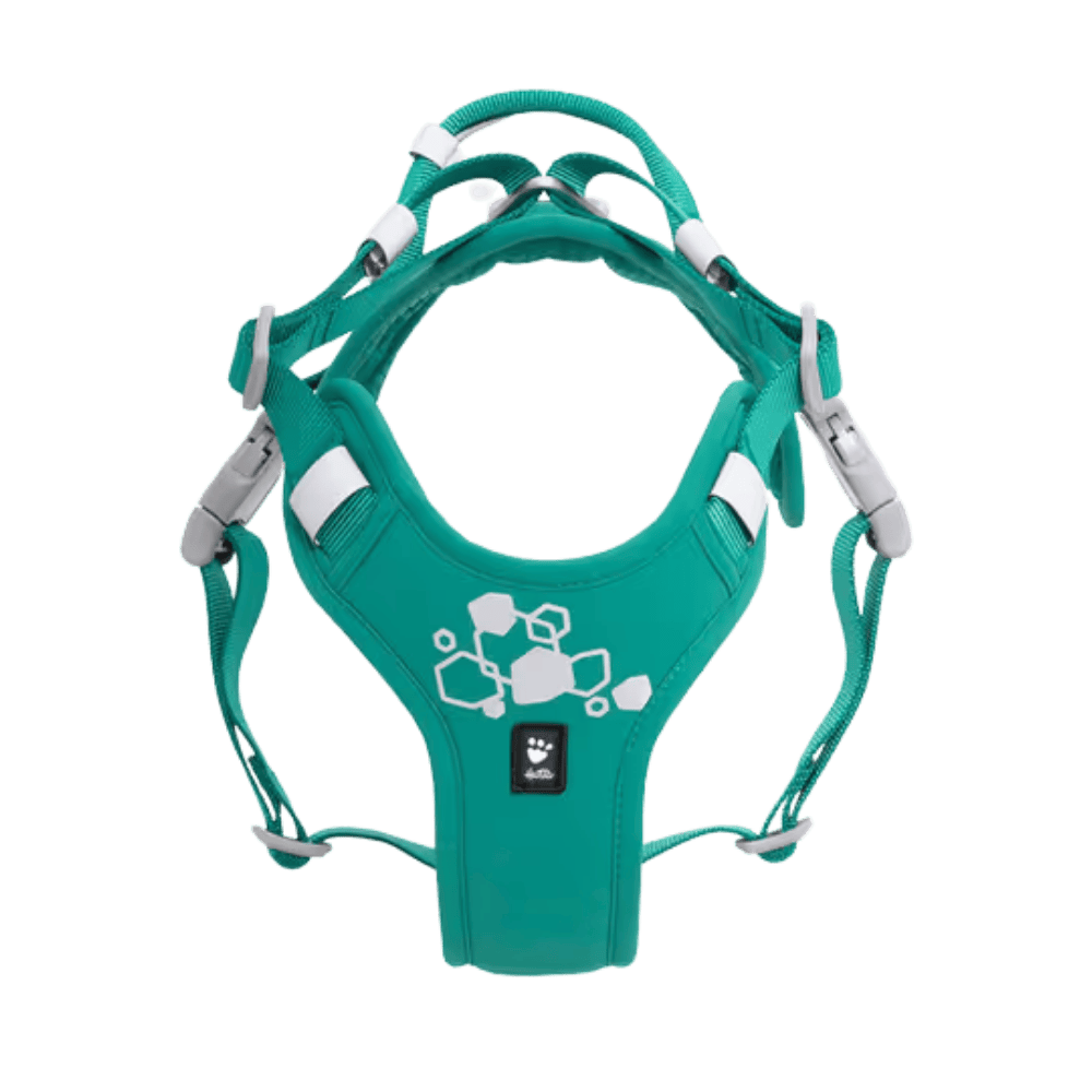 Hurtta Weekend Warrior Harness II ECO Peacock - Szelki dla psów aktywnych, turkusowe