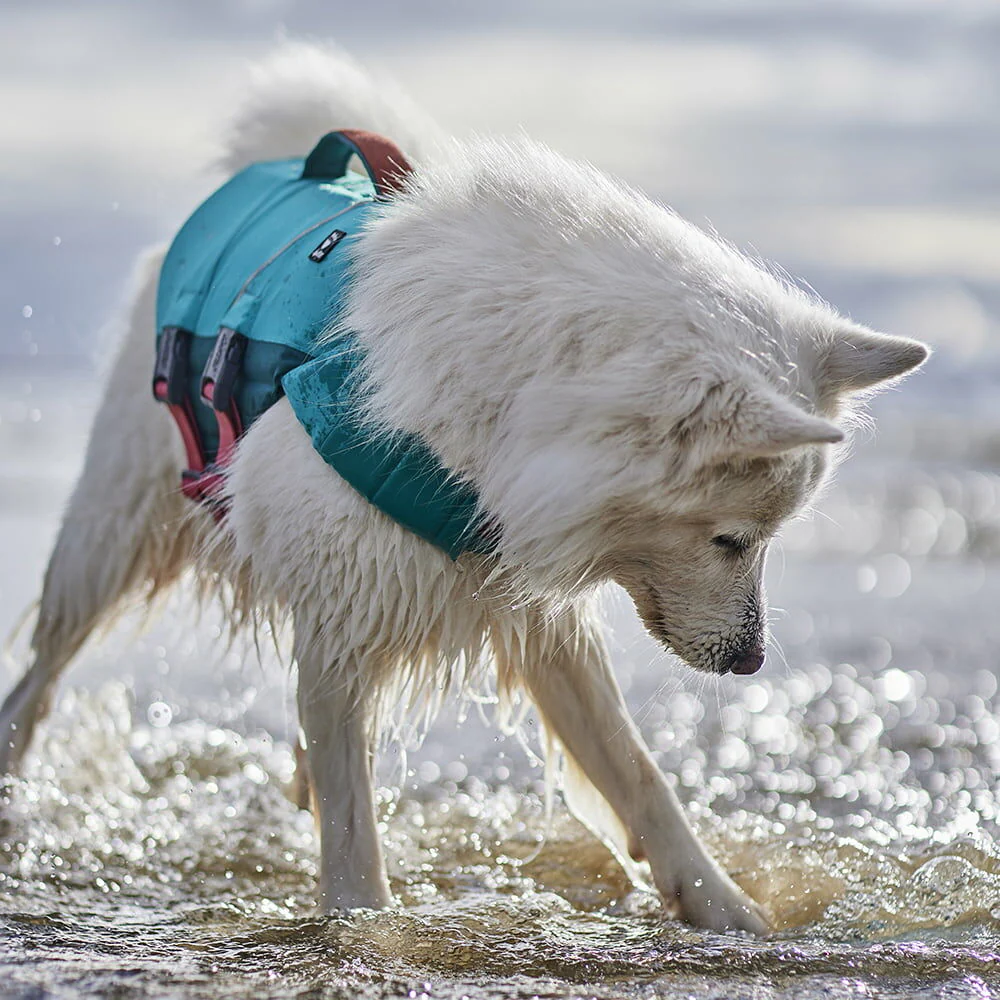 Hurtta Life Savior Eco Peacock - Kapok dla psa, turkusowy