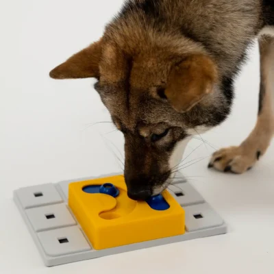 Pawzler Kaya - moduł do zabawki logicznej dla psa, poziom 2 - obrazek 2
