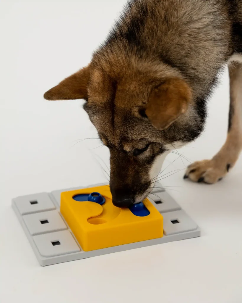 Pawzler Kaya - moduł do zabawki logicznej dla psa, poziom 2