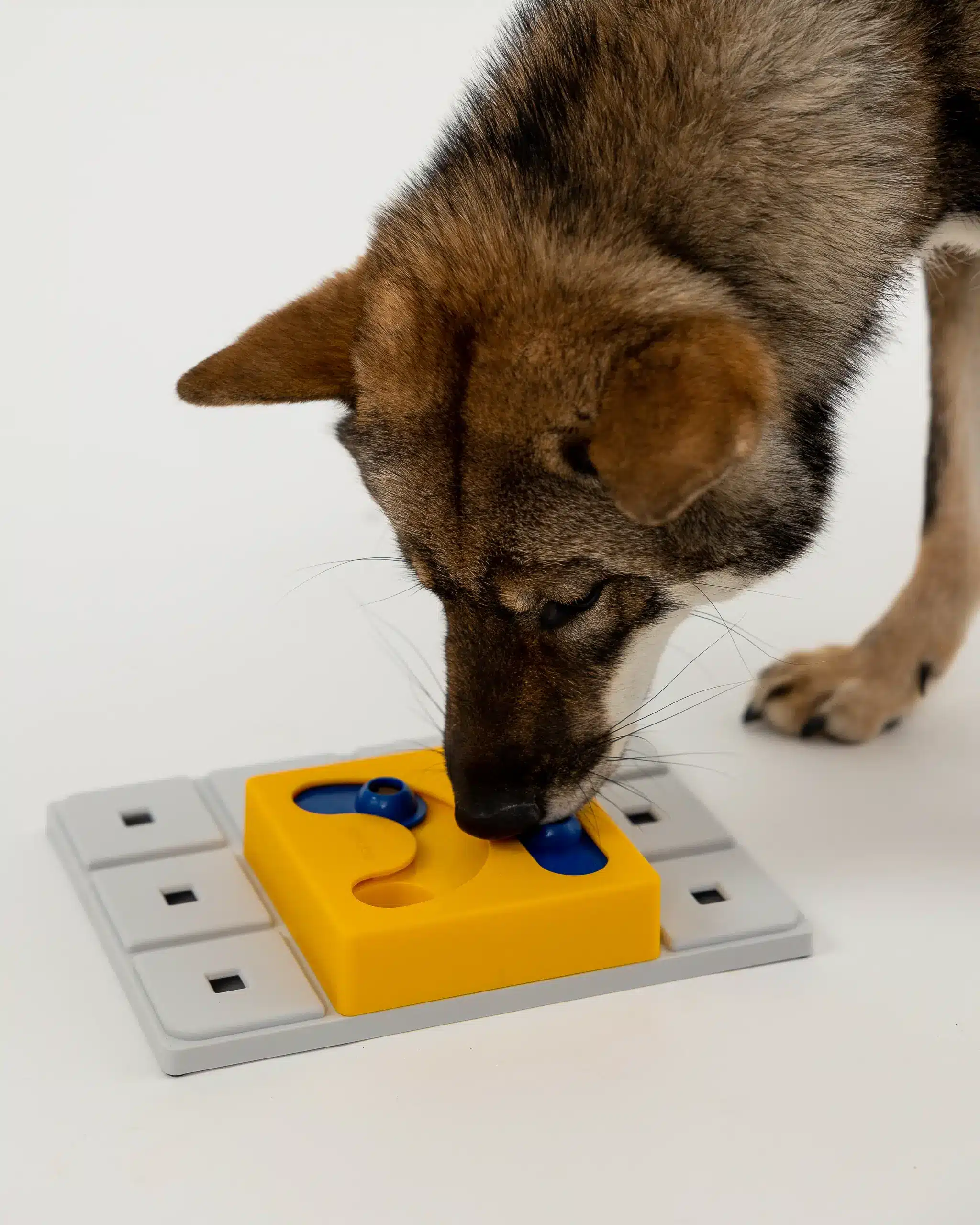 Pawzler Kaya - moduł do zabawki logicznej dla psa, poziom 2 - obrazek 2