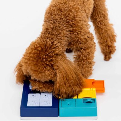 Pawzler Smarty Set - modułowa zabawka logiczna dla psa, poziom 2 - obrazek 7