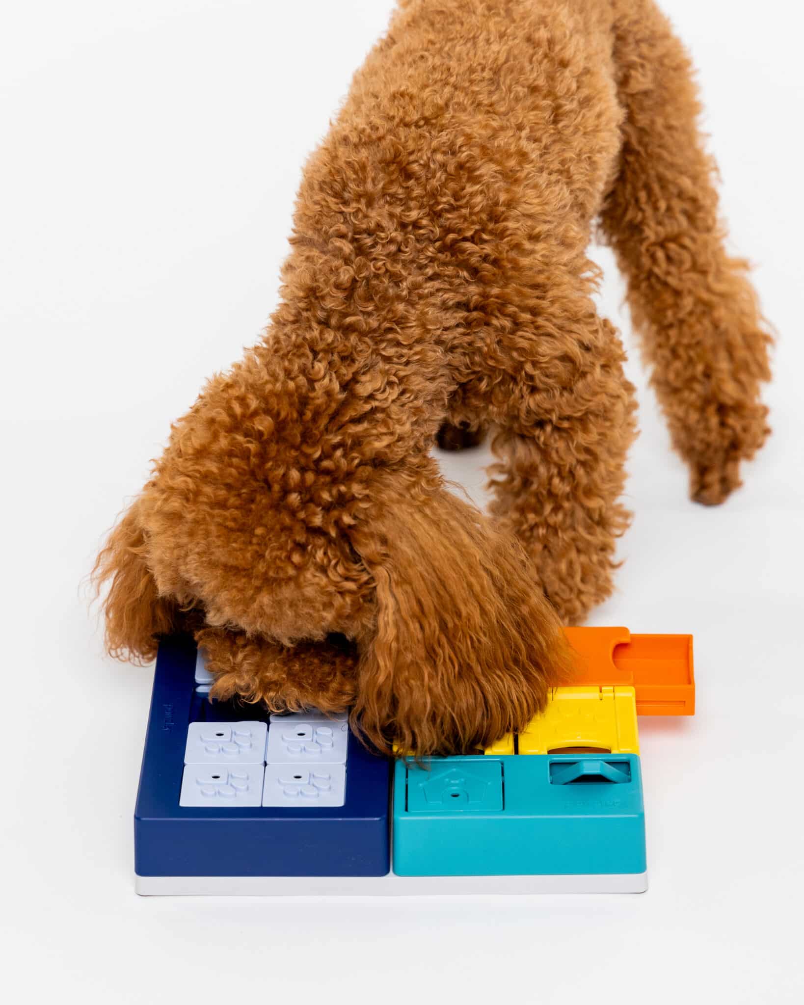 Pawzler Smarty Set - modułowa zabawka logiczna dla psa, poziom 2 - obrazek 7
