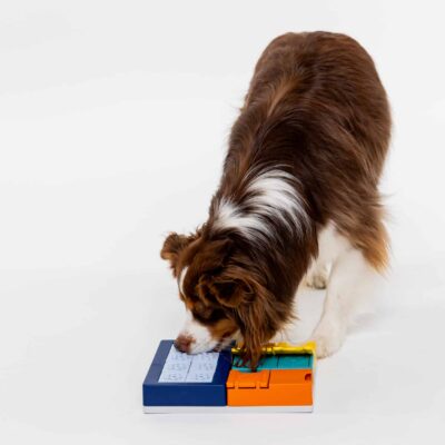 Pawzler Smarty Set - modułowa zabawka logiczna dla psa, poziom 2 - obrazek 2