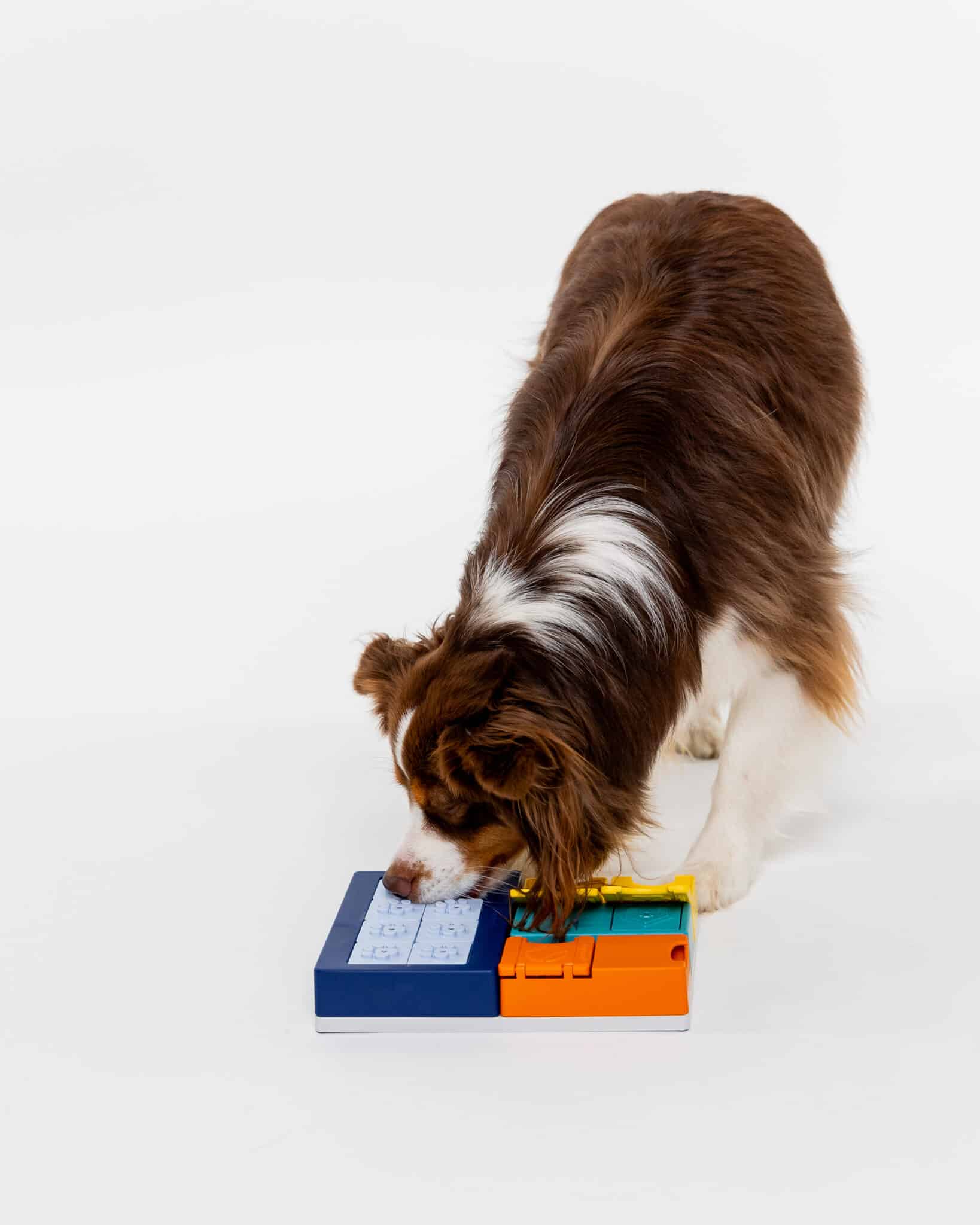 Pawzler Smarty Set - modułowa zabawka logiczna dla psa, poziom 2 - obrazek 2