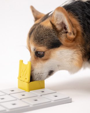 Pawzler Zoey - moduł do zabawki logicznej dla psa, poziom 2