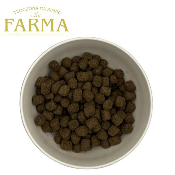Farma – Karma sucha tłoczona na zimno dla psów dorosłych, konina
