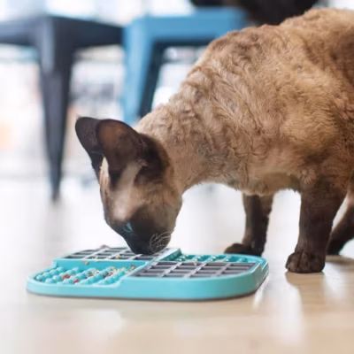 LickiMat Slomo Cat - Mata do lizania dla kota, twarda - obrazek 4