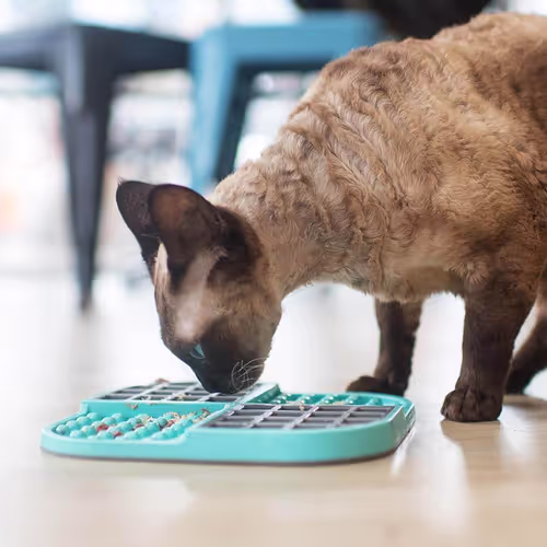 LickiMat Slomo Cat - Mata do lizania dla kota, twarda