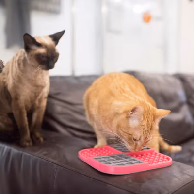 LickiMat Slomo Cat - Mata do lizania dla kota, twarda - obrazek 5