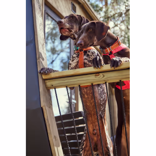 Hurtta Casual Collar Eco Cinnamon - Obroża dla psa, brązowa